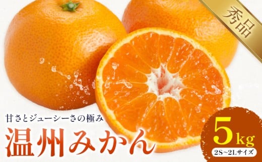 温州みかん 約5kg 日本フルーツ株式会社 熊本県 荒尾市 《10月中旬-2月下旬頃出荷予定》 デコポン 果物 秀品 フルーツ スイーツ デザート ギフト ご贈答