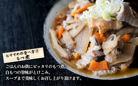  豚白もつ 約2.8kg (約470g×6袋) ボイル済み【 もつ煮 もつ焼き もつ鍋 白もつ 】