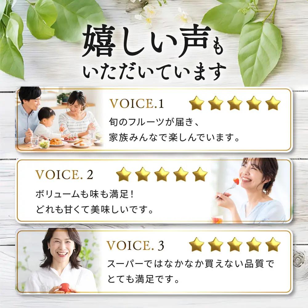 【定期便10回Sサイズ】 フルーツ セット ( 約3 ～ 5品 × 10ヶ月 ) ｜フルーツ