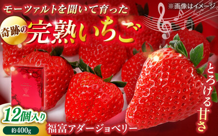 島根県松江市「のつ農園」　完熟いちご「福富アダージョベリー」　12個入り 島根県松江市/山陰中央テレビジョン放送株式会社[ALFI003]