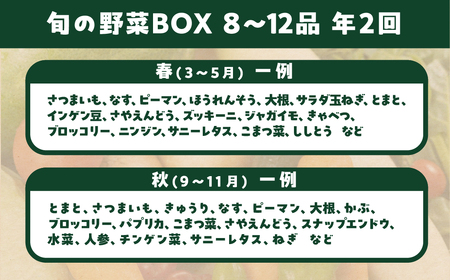 【定期便】あつみの肉＆旬の野菜BOX定期便 4回 詰合せ