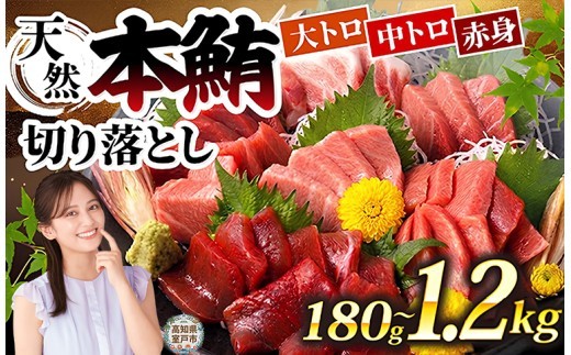 
                  天然 本マグロ 中トロ 大トロ 赤身 切り落とし お手軽 ちょこっとパック 1.2kg から 300g 小分け 60g 食べきりサイズ 中とろ 大とろ あかみ 切落し マグロ 鮪 クロマグロ 海産物 魚 刺身 さしみ 漬丼 漬け丼 おかず 丼 寿司 魚介類 魚介 海鮮 簡単調理 惣菜 訳あり 規格外 父の日 不揃い ランキング 冷凍 人気 10000円 1万円 おすすめ 旬の魚貝 高知県 室戸市
                
