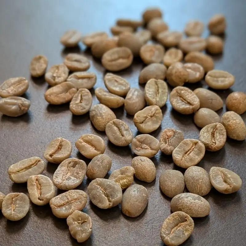 ASIA×BEANS!アジアの旅コーヒー・焼菓子ギフト（中国雲南編）豆の挽き方：細挽き【hisa0014】