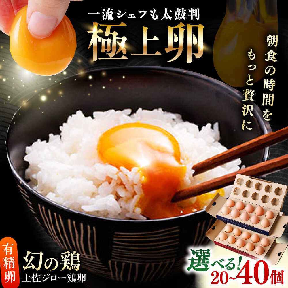 【ふるさと納税】【選べる内容量】土佐ジロー鶏卵 20個 または 40個 / 高知 土佐 土佐ジロー 卵 たまご 玉子 鶏卵 卵焼き たまご焼き 玉子焼き 目玉焼き 生卵 卵かけご飯 TKG ギフト 贈り物 【とさやま養鶏場】[ATHB001]