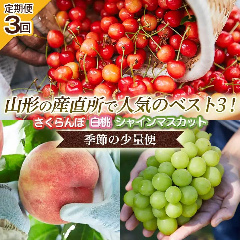 【定期便3回】山形の産直所で人気のベスト3！さくらんぼ・白桃・シャインマスカット【季節の少量便】 くだもの 果物 フルーツ 山形 山形県 山形市 FZ25-948