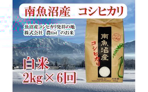 【令和7年産】【定期便 南魚沼産】コシヒカリ 白米2kg×6回【2025年9月中旬より順次発送予定】