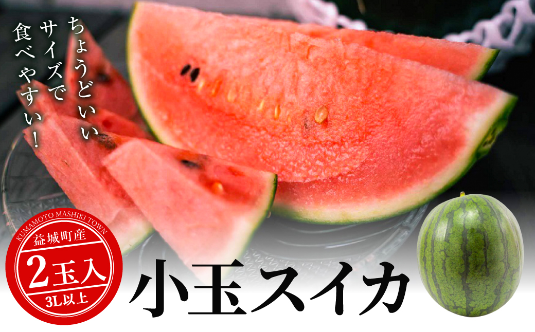 小玉スイカ 3Lサイズ以上 2玉入り 益城町 すいか 果物 フルーツ【2026年5月上旬～2026年7月下旬発送予定】