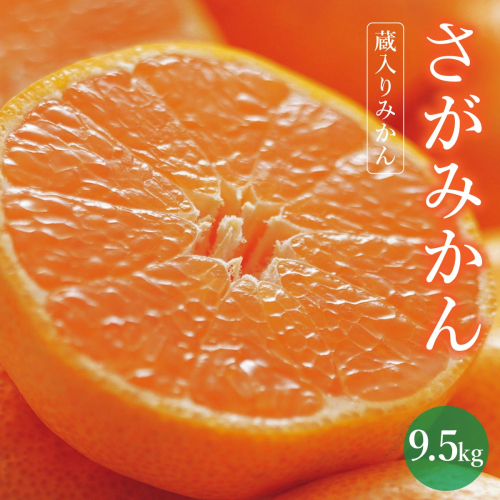 【期間限定】さがみかん （蔵入りみかん9.5kg）【温州みかん 甘い 濃厚 ジューシー コク 完熟 熟成みかん 蔵出し 蔵入り 柑橘 密柑 ギフト 果物 フルーツ 佐賀県産 佐賀県 大和 太良 石橋果樹園 人気】【D-661-IK】