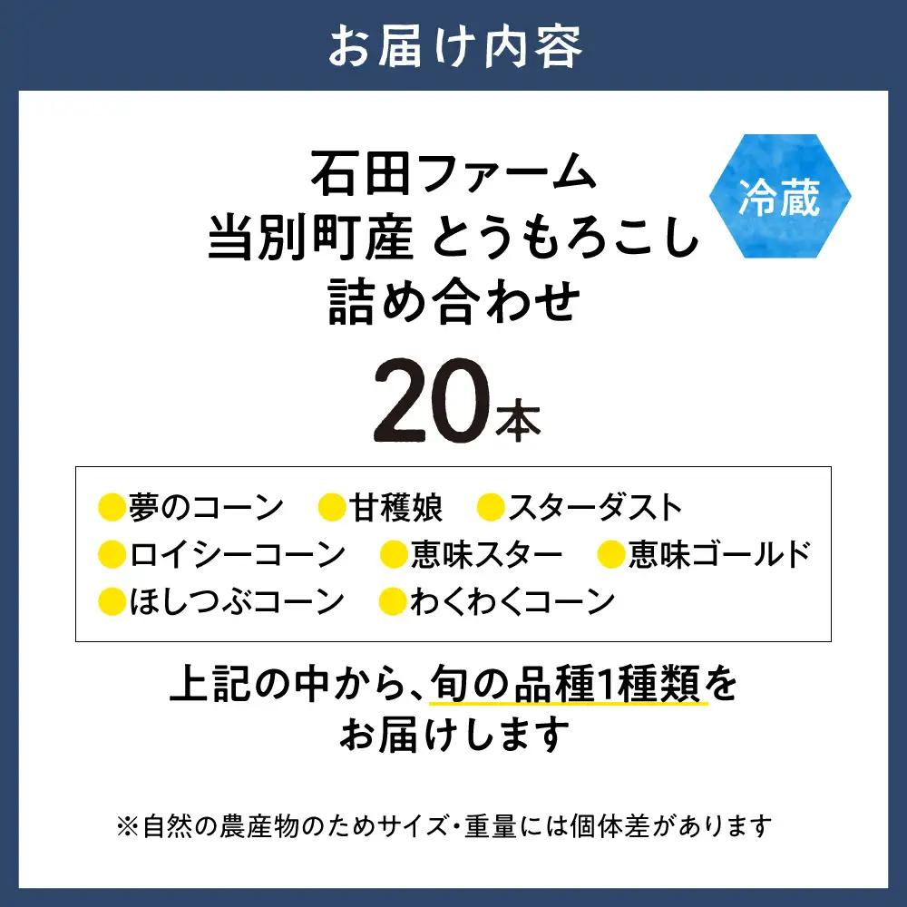 とうもろこし アフター保障付き 20本 北海道 当別町 とうもろこし