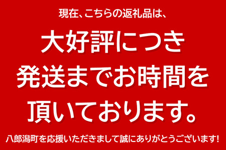 和菓子 畠栄 の あんごま餅 14個 × 小4パック 計56個入 あんこ ごま お取り寄せ ご当地おやつ スイーツ 和スイーツ お菓子 冷凍 畠栄菓子舗