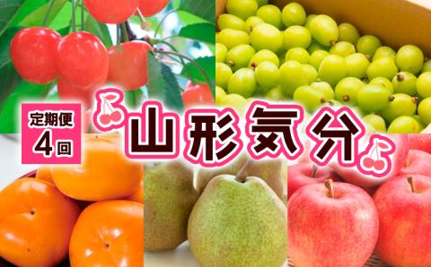 【定期便4回】山形気分 【令和6年産先行予約】FS23-800