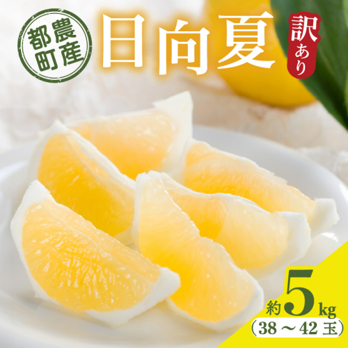 都農町産「訳あり日向夏(約5kg)」 フルーツ 果物 柑橘 国産_T008-0045