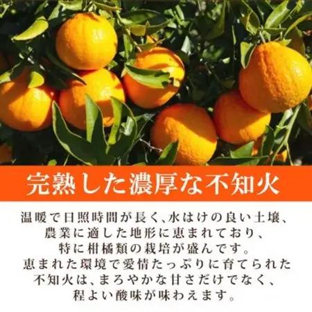 【ご家庭用】紀州有田産不知火(しらぬひ) 約8.5kg【日高町】【1216961】