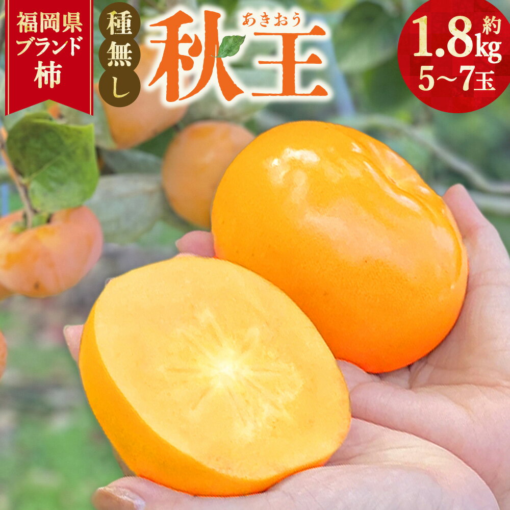 【ふるさと納税】福岡県ブランド柿 秋王 5～7玉 約1.8kg 種無し 【2026年11月上旬～12月上旬発送予定】 柿 かき カキ 果物 くだもの フルーツ 国産 福岡県産 国産フルーツ 冷蔵 福岡県 香春町 送料無料