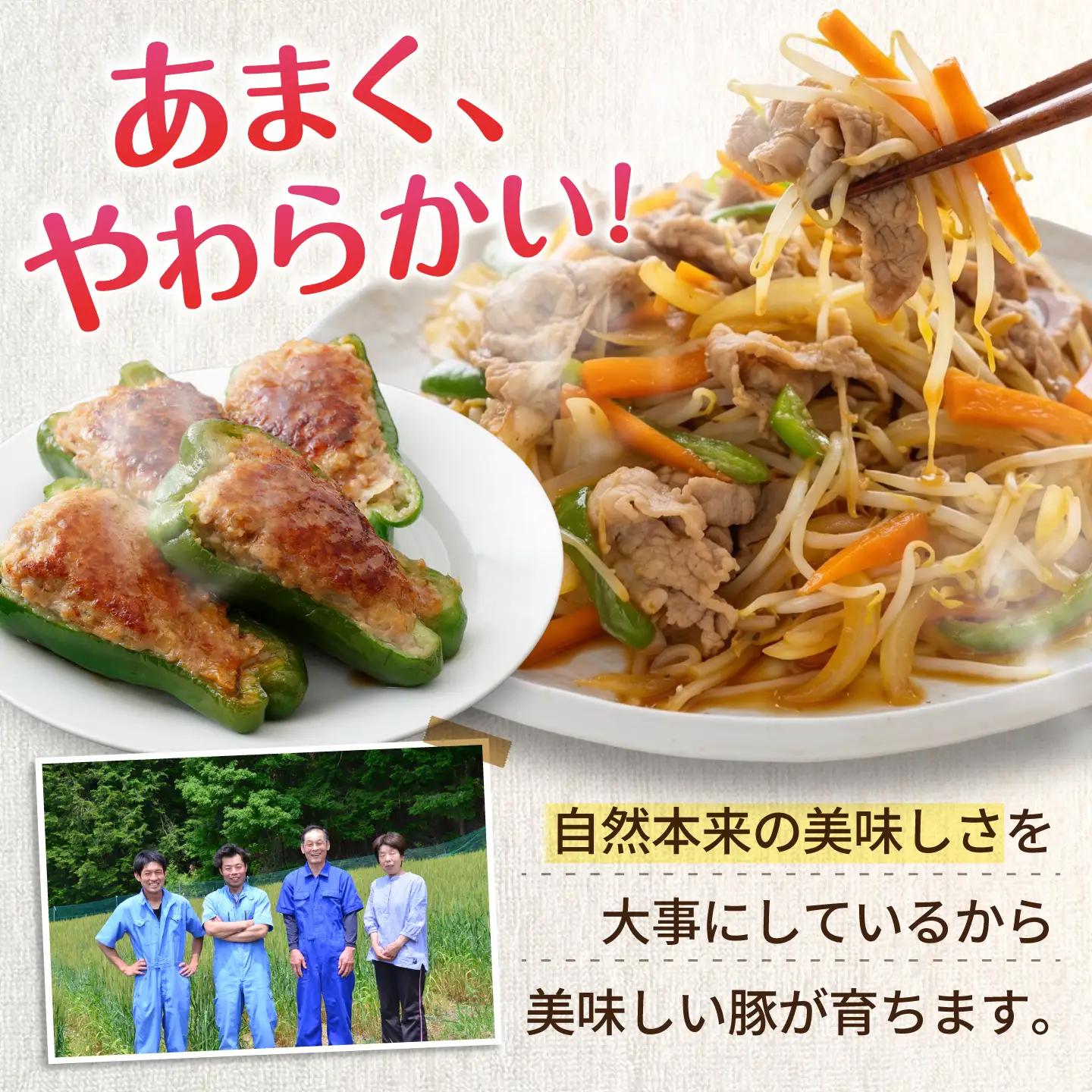 豚肉 バラエティセット 4種 計2.3kg《バラ凍結》藤井ファーム[AWAF109]豚肉大容量