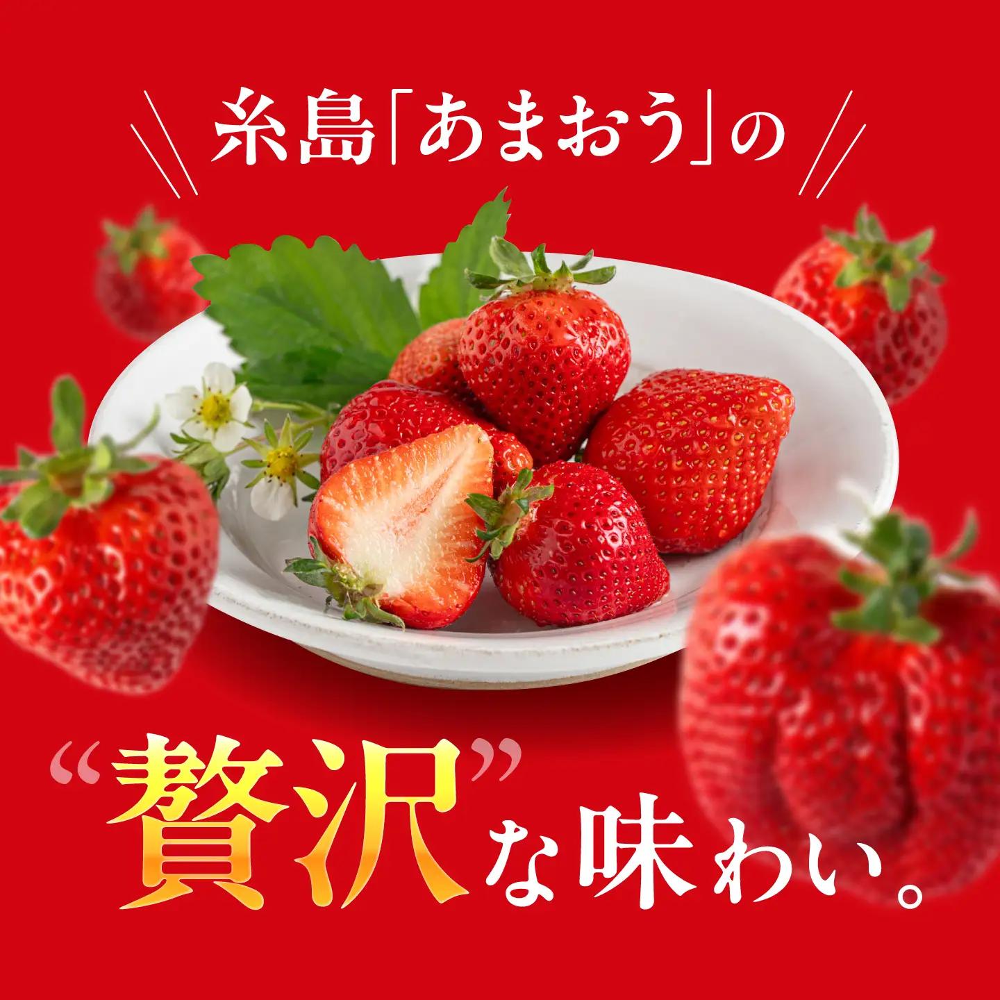 【月1回・全3回定期便】糸島 あまおう 270g×2パック  (A品B品含むL〜5L) 糸島市 / 磯本農園 / TANNAL [ATB009] いちご 苺 イチゴ ランキング 上位 人気 おすすめ 