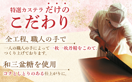 【全12回定期便】特撰カステラ3種 和三盆とお濃茶と黒糖（包装未対応）長与町/文明堂総本店[EAK046]
