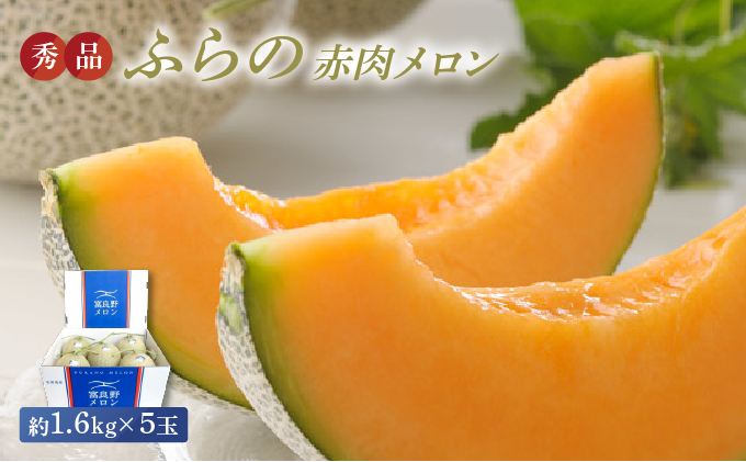 【2025年8月上旬より発送】ふらの 赤肉 メロン 約1.6kg×5玉 北海道 富良野市 (JAふらの) メロン フルーツ 果物 新鮮 甘い 贈り物 ギフト 道産 ジューシー おやつ ふらの ブランド 夏 