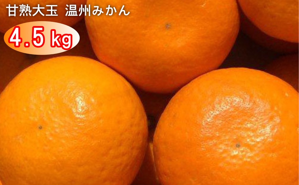 
                  太良町 山本農園の「甘熟大玉 温州みかん」 4.5kg
                