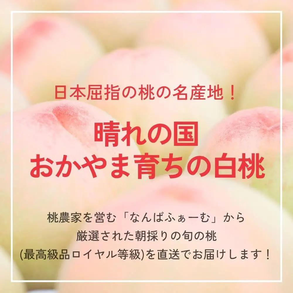 ＜数量限定＞［なんばふぁーむ］岡山県産 旬の桃 1.5kg（4～6玉）[ギフト用]【2026年発送】 039-a003