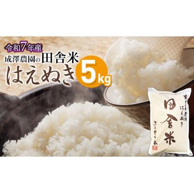 ふるさと納税 鶴岡市 【令和7年産】成澤農園の田舎米(はえぬき)5kg　[K-742]