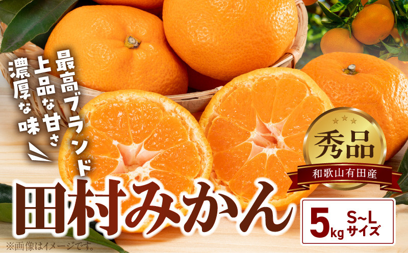 
                  【2026年先行予約】有田の高級みかん【田村みかん】秀品！たっぷり 5kg ギフトにもオススメ (S～Lサイズおまかせ)_BD7004n
                