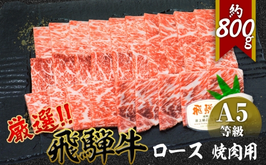 店主こだわり雌牛 飛騨牛A5等級　ロース　焼肉用　約800g [No.065] ／ 牛肉 ブランド牛 やきにく メス牛 冷凍 岐阜県 特産