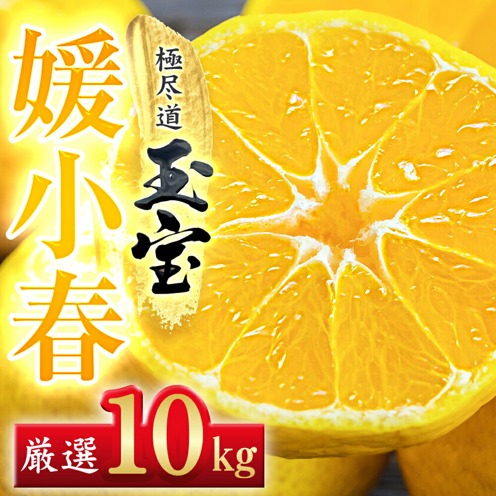 【ふるさと納税】【愛媛名産】玉宝媛小春(ひめこはる)　2kg/3kg/5kg/10kg_ みかん 媛小春 ひめこはる 玉宝 極尽道 愛媛のみかん 愛媛県オリジナル 柑橘 果物 くだもの フルーツ 美味しい 甘い フルーティー 希少品 愛媛 八幡浜市 おすすめ【G1623968】 YWTY074