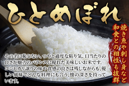 《定期便9ヶ月》【令和6年産・白米】宮城県栗原産 ひとめぼれ 毎月5kg (5kg×1袋)×9ヶ月