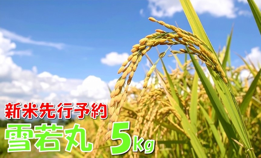 
                  【令和８年産米 先行予約】雪若丸5kg　高橋
                