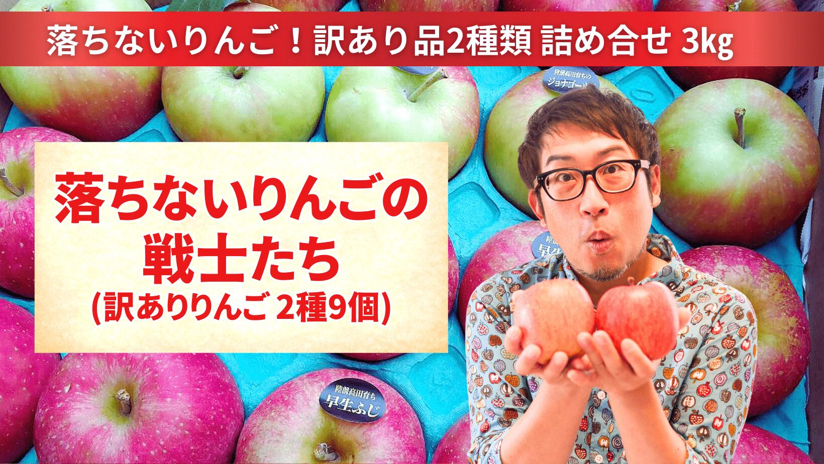 【ふるさと納税】訳あり 季節のりんご 約 3kg ( 目安：9〜12個 ) 品種おまかせ 米崎りんご [ りんご リンゴ 林檎 旬 フルーツ 果物 人気 詰め合わせ セット ギフト 家庭用 ワケあり 規格外 料理 岩手 陸前高田 落ちないりんごの戦士たち イドバダアップル ]
