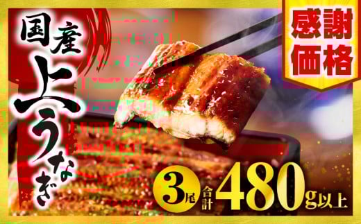 【数量・期間限定】九州産うなぎ蒲焼3尾（計480g以上＆さんしょう、たれ付き）_M040-012