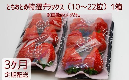 【3ヶ月定期便】いちご 「とちおとめ特選デラックス」1箱／10～22粒入×3回 苺 イチゴ とちおとめ 選べる 発送月 発送回数 個数 いちご「とちおとめ」風早いちご園 有名ホテル使用 厳選 フルーツ