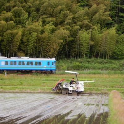 ふるさと納税 京丹後市 京都・網野郷産 特別栽培米コシヒカリ 玄米10kg  京のプレミアム米「最高金賞」受賞 |  | 01