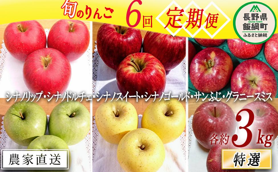 旬のりんご 【 定期便 】 特選 3kg × 6回 やまじゅうファーム 沖縄県への配送不可 2025年8月下旬頃から2026年1月下旬頃まで順次発送予定 令和7年度収穫分 信州の環境にやさしい農産物 減農薬栽培 長野県 飯綱町 [0856]
