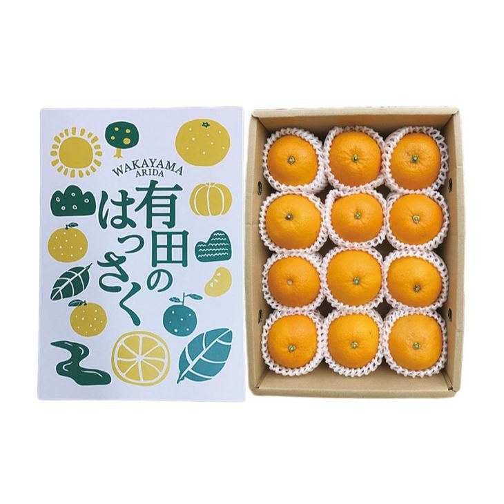 ZE6079n_【2026年先行予約】有田の八朔 (はっさく) 【化粧箱 】（Lサイズ）　12個入り　まごころ手選別