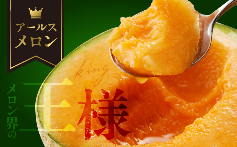 先行予約≪期間限定≫hiro君ハウスのアールスメロン(赤肉)計3kg以上(化粧箱入り) フルーツ 果物 国産_T022-0011