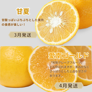 【定期便4回】 訳あり 季節の柑橘4種 各5kg 合計 20kg ポンカン 不知火 甘夏 河内晩柑   柑橘 みかん 果物 フルーツ ゼリー アイス ジュース 定期便  フルーツ定期便 和製 グレープ