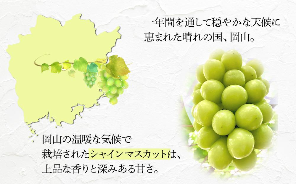 岡山県産 高級 シャインマスカット 700g以上 1房 贈答品＜2024年9月以降発送＞