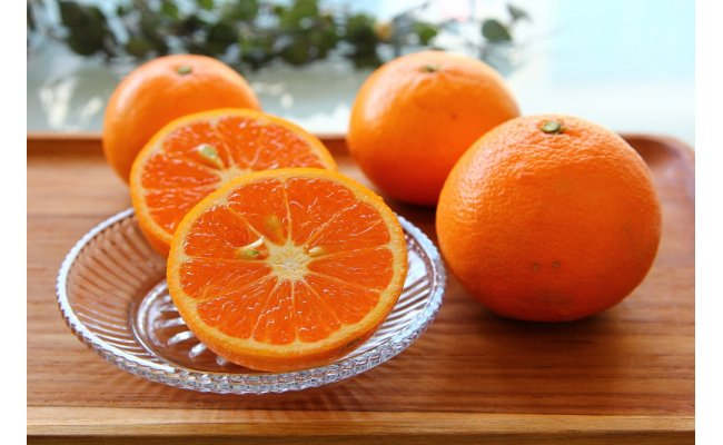 ZS6141n_主井農園 高級 カラマンダリン 赤秀 2.5kg