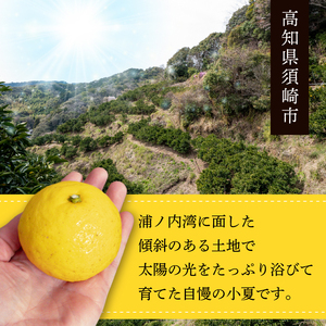 【 訳あり 】小夏 ( 日向夏 ) サイズ おまかせ ( S～Lサイズ ) 5kg 無印 等級  旬 高知 県 須崎 産  柑橘 初夏 フルーツ ｺﾅﾂ 果物 小夏 こなつ ｺﾅﾂ ひゅうが夏 ｺﾅﾂ