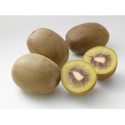 ふるさと納税 東かがわ市 訳ありさぬきエンジェルスイートキウイ 約1kg