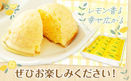 レモンケーキ 15個入り【養生市場】合計約750g 有限会社七城町特産品センター《90日以内に出荷予定(土日祝除く)》熊本県 菊池市 レモン ケーキ 檸檬ケーキ レモンチョコ おかし お菓子 デザート