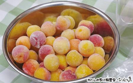 梅ジュース＆梅ジャムづくり体験チケット  A-137