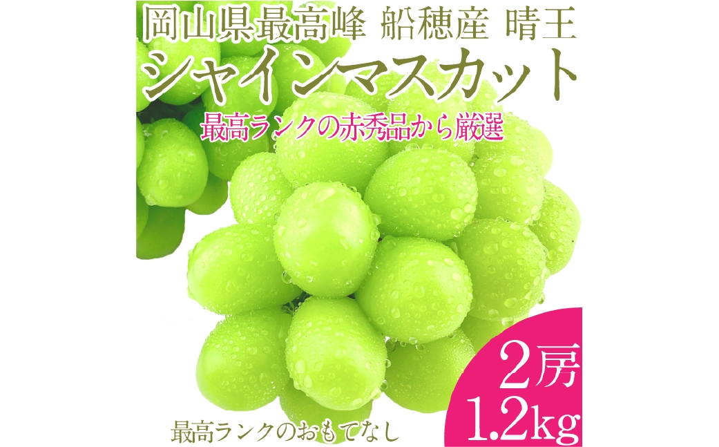 
             プレミアム シャインマスカット 晴王 2房 約1.2kg 種無し  皮ごと食べる  フレッシュ  旬の美味しさ【2025年9月上旬-10月下旬 発送予定】【9月～10月お届け フレッシュ 晴れの国 おかやま 果物大国 贈答品 彩美菜果 岡山県 倉敷市 おすすめ 人気】
          
