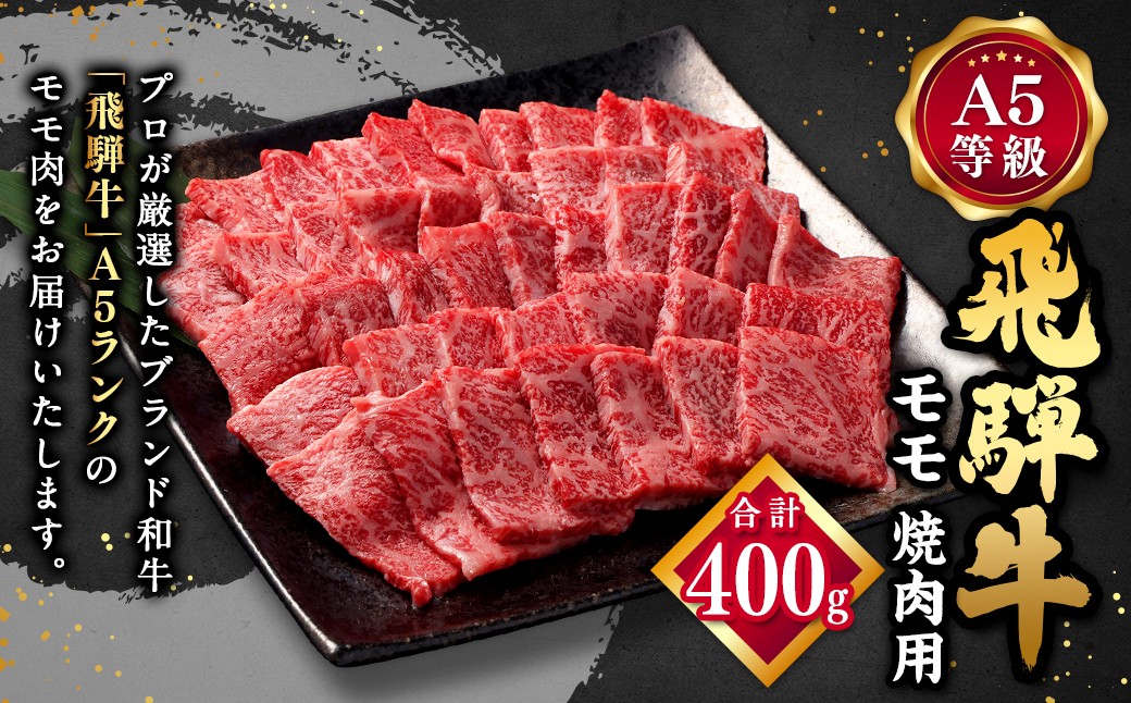 
            飛騨牛 A5 等級 焼肉 用 400g（ モモ肉 ） | 肉のかた山 牛肉 牛 肉 焼き肉 和牛 黒毛和牛 国産 M12S85
          