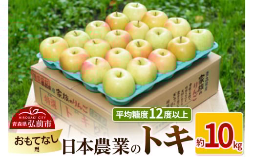 りんご 【先行受付】平均糖度12度以上！ トキ 約10kg おもてなし用