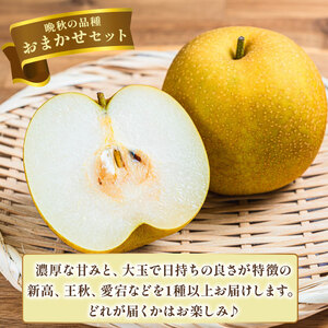 【2026年先行予約】 和梨 品種おまかせ 約 5kg