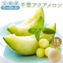 【ふるさと納税】 定期便 千葉アクアメロン1玉（1.2Kg） 10ヶ月連続お届け 高評価レビュー 大人気 最高級品 厳選 メロン 化粧箱入り フルーツ 果物 デザート 農園 千葉県 南房総市 お取り寄せ グルメ 送料無料