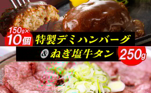 特製デミハンバーグ（150g×10個）& ねぎ塩牛タン（250ｇ）のセット　KP6305